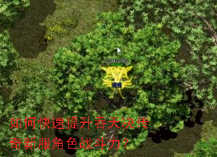 ��ο�����������������·���ɫս������