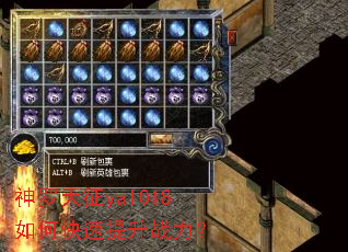 ��������yal018��ο�������ս����