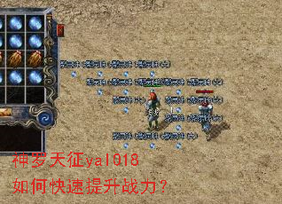 ��������yal018��ο�������ս����