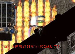 ��ο��ٻ�ȡ��ħ��197268������