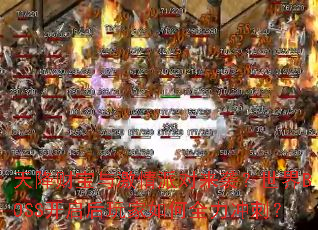 �콵�Ʊ��뼤���ɶ���Ϯ������BOSS������������ȫ����̣�