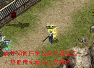 ������ΰ�����ҳư��귨����Ѫ�����·��ٳɹ���