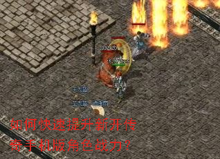 ��ο��������¿������ֻ����ɫս����