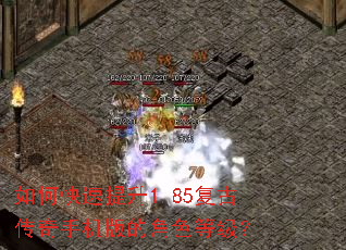 ��ο�������1.85���Ŵ����ֻ���Ľ�ɫ�ȼ���