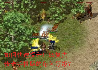 ��ο�������1.85���Ŵ����ֻ���Ľ�ɫ�ȼ���