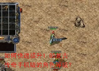 ��ο�������1.85���Ŵ����ֻ���Ľ�ɫ�ȼ���