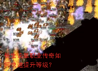 ��������ְҵ������ο��������ȼ���