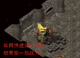 ��ο����������ɽ���ͭһ��ս����