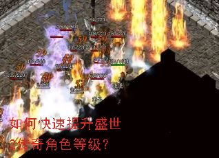 ��ο�������ʢ��2�����ɫ�ȼ���