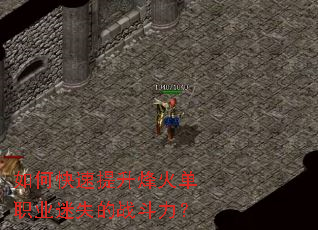 ��ο����������ְҵ��ʧ��ս������