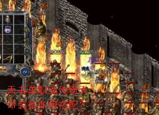 ���鵥ְҵ��������װ����δ��䣿