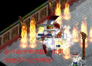 ����ɽ���湥�ԣ���ο�������ս���ȼ���