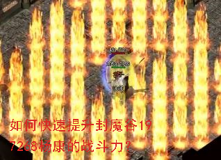 ��ο���������ħ��197268���ս������