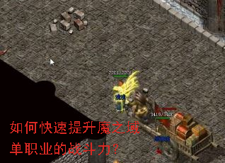 ��ο�������ħ֮��ְҵ��ս������