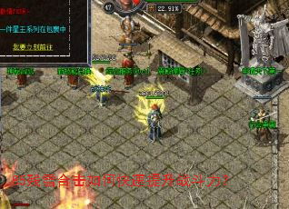 85��ѩ�ϻ���ο�������ս������