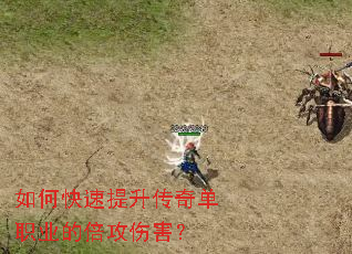 ��ο����������浥ְҵ�ı����˺���