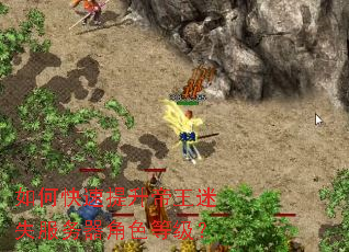 ��ο�������������ʧ��������ɫ�ȼ���