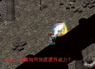 ҩ��ׯ������ο�������ս����