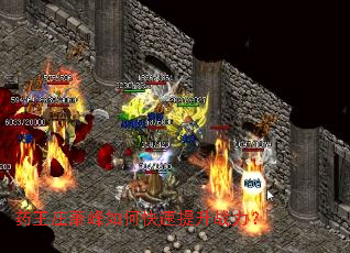 ҩ��ׯ������ο�������ս����