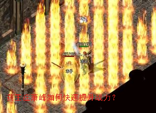 ҩ��ׯ������ο�������ս����