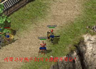 ������վ������ο��������ȼ���