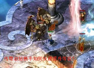 ������վ������ο��������ȼ���