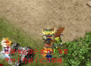 ��ο�������ʵ�������״����������ֽ��׹���