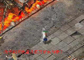 ������ο���������ն��������