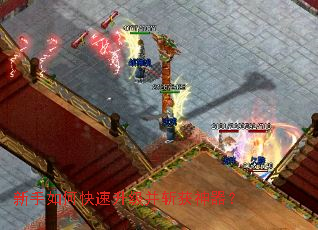 ������ο���������ն��������