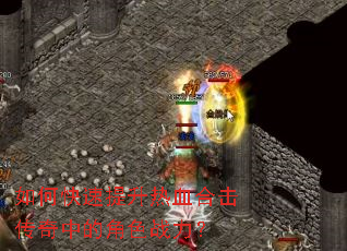 ��ο���������Ѫ�ϻ������еĽ�ɫս����