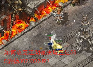 ��ι��˽��������V����585����302300249��