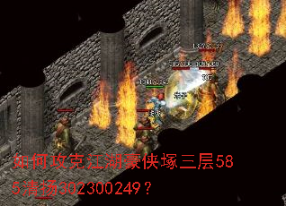 ��ι��˽��������V����585����302300249��