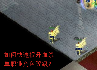 ��ο�������Ѫɱ��ְҵ��ɫ�ȼ���