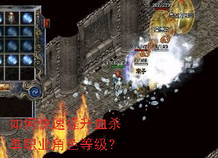 ��ο�������Ѫɱ��ְҵ��ɫ�ȼ���