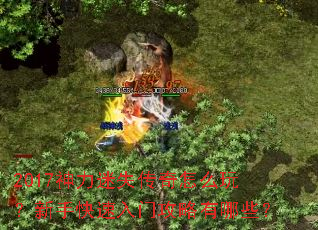 2017������ʧ������ô�棿���ֿ������Ź�������Щ��