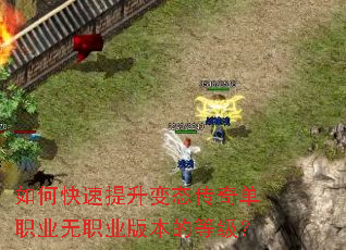 ��ο���������̬���浥ְҵ��ְҵ�汾�ĵȼ���