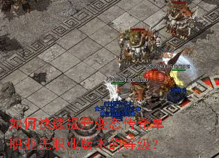 ��ο���������̬���浥ְҵ��ְҵ�汾�ĵȼ���