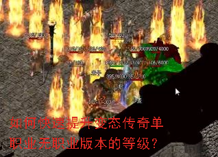 ��ο���������̬���浥ְҵ��ְҵ�汾�ĵȼ���