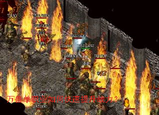 ���޵�ְҵ��ο�������ս����