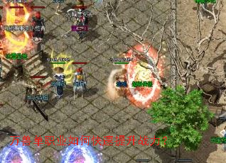 ���޵�ְҵ��ο�������ս����