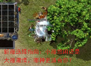 �·�ѡ��ָ�ϣ�С�����л��Ǵ�����飬���ָ��ʺ��㣿