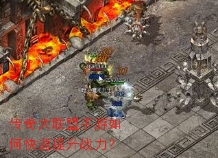 ���������������ο�������ս����