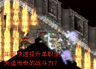 ��ο���������ְҵ��������ս������