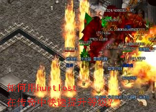�����hurtlost�ڴ����п��������ȼ���