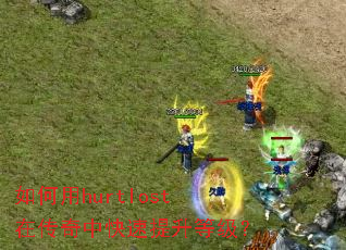 �����hurtlost�ڴ����п��������ȼ���