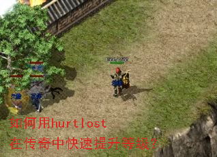 �����hurtlost�ڴ����п��������ȼ���