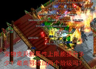 �������������������������٣���߿����������׼���