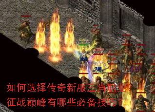 ���ѡ�����·���Фְҵ����ս�۷�����Щ�ر����ɣ�