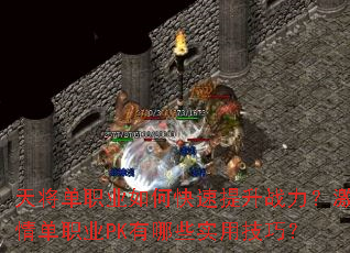 �콫��ְҵ��ο�������ս�������鵥ְҵPK����Щʵ�ü��ɣ�