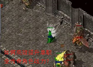 ��θ�Ч������ְҵ�����ɫս����